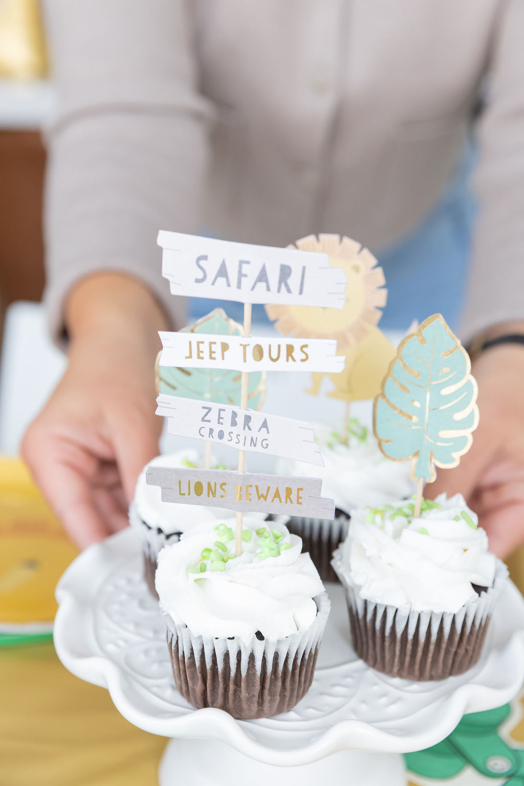 Safari Party Box